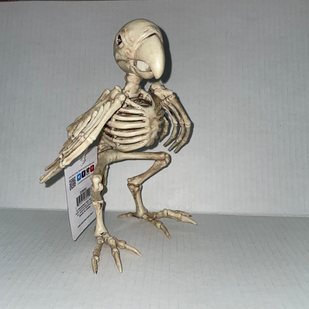 MARGARITAVILLE DEAD PARROT HEAD BIRD SKELETON BONES PROP HALLOWEEN DECORATION